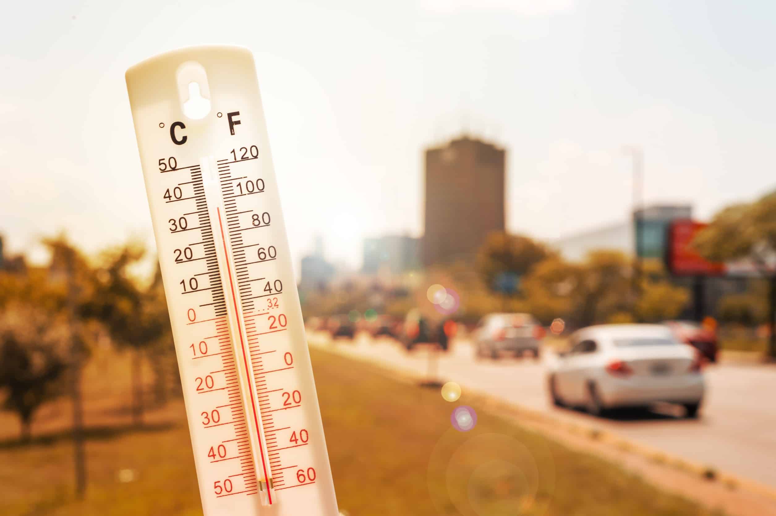GMB_Hot-Conditions